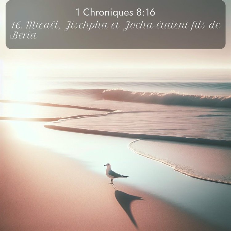 Segond 1 Chroniques 8:16