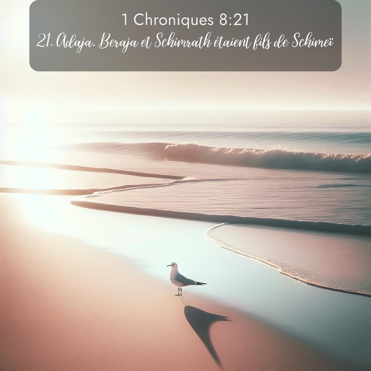 Segond 1 Chroniques 8:21