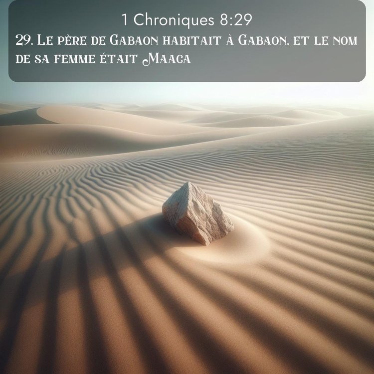 Segond 1 Chroniques 8:29