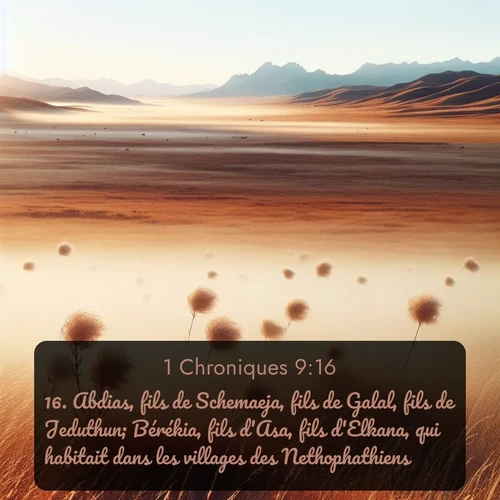Segond 1 Chroniques  ; image nature: image avec le verset biblique :Abdias, fils de Schemaeja, fils de Galal, fils de Jeduthun; Bérékia, fils d&#039;Asa, fils d&#039;Elkana, qui habitait dans les villages des Nethophathiens. ;  ; 9:16