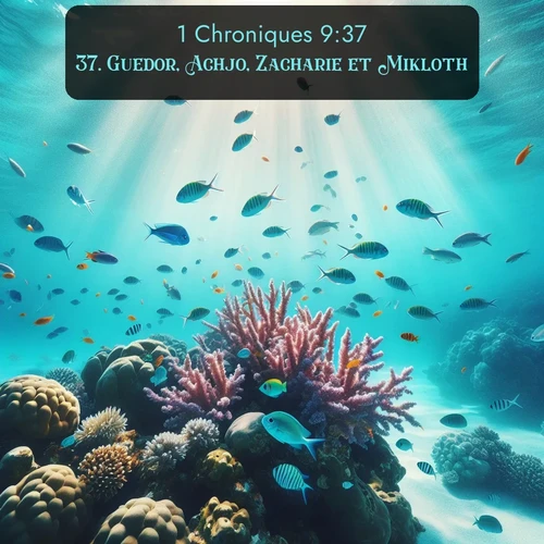 Segond 1 Chroniques  ; image nature: image avec le verset biblique :Guedor, Achjo, Zacharie et Mikloth. ;  ; 9:37