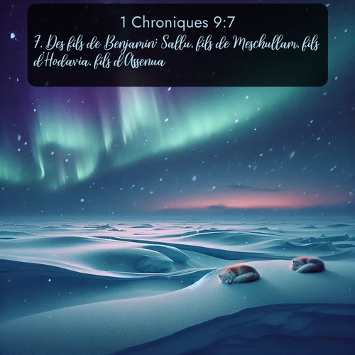 Segond 1 Chroniques  ; image nature: image avec le verset biblique :Des fils de Benjamin: Sallu, fils de Meschullam, fils d&#039;Hodavia, fils d&#039;Assenua; ;  ; 9:7
