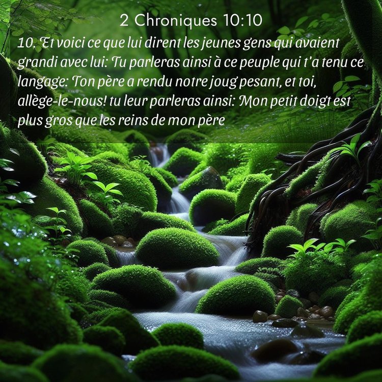 Segond 2 Chroniques 10:10