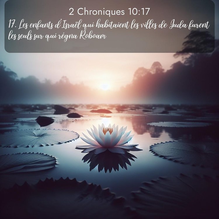 Bible Segond 2 Chroniques 10:17