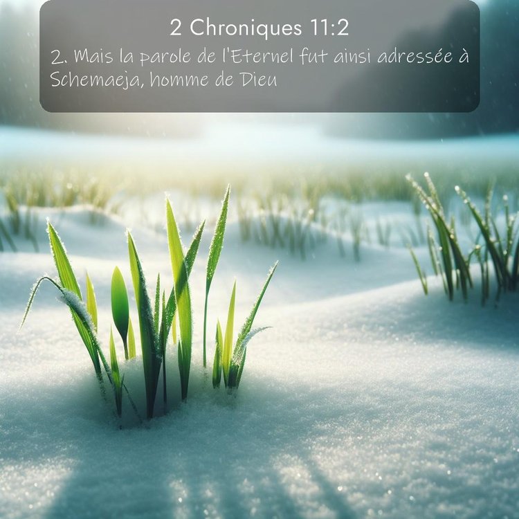 Segond 2 Chroniques 11:2