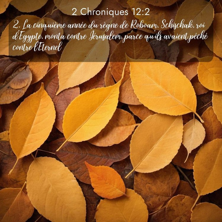 Segond 2 Chroniques 12:2