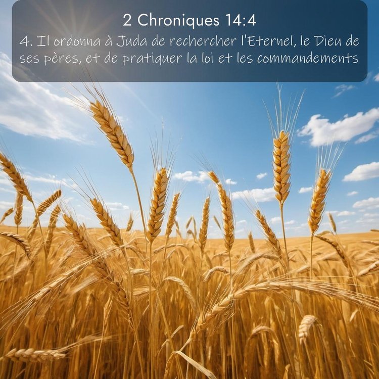 image nature avec verset biblique de la Bible
