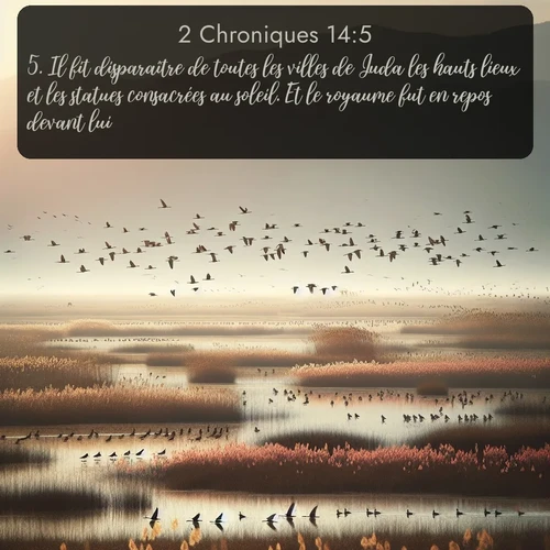 Segond 2 Chroniques  ; image nature: image avec le verset biblique :Il fit disparaître de toutes les villes de Juda les hauts lieux et les statues consacrées au soleil. Et le royaume fut en repos devant lui. ;  ; 14:5
