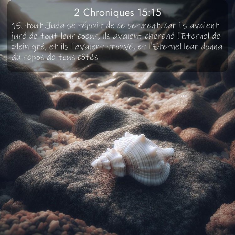 Segond 2 Chroniques 15:15