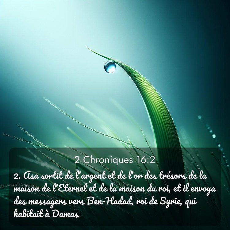 Segond 2 Chroniques 16:2