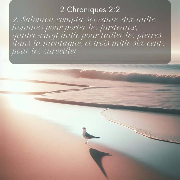 Segond 2 Chroniques 2:2