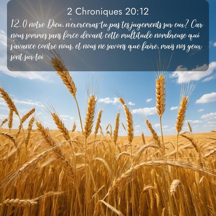 Segond 2 Chroniques 20:12