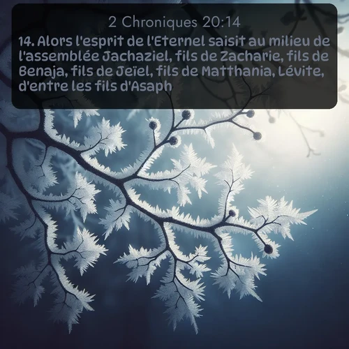 Segond 2 Chroniques  ; image nature: image avec le verset biblique :Alors l&#039;esprit de l&#039;Eternel saisit au milieu de l&#039;assemblée Jachaziel, fils de Zacharie, fils de Benaja, fils de Jeïel, fils de Matthania, Lévite, d&#039;entre les fils d&#039;Asaph. ;  ; 20:14