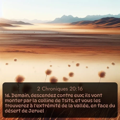 Segond 2 Chroniques  ; image nature: image avec le verset biblique :Demain, descendez contre eux; ils vont monter par la colline de Tsits, et vous les trouverez à l&#039;extrémité de la vallée, en face du désert de Jeruel. ;  ; 20:16