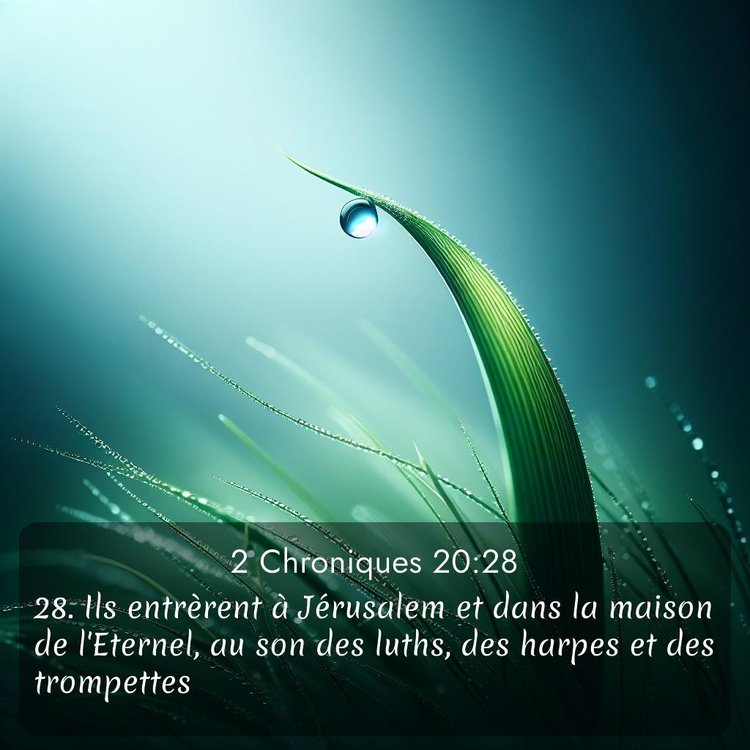 Segond 2 Chroniques 20:28