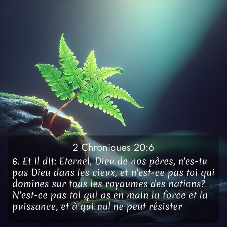 Segond 2 Chroniques 20:6