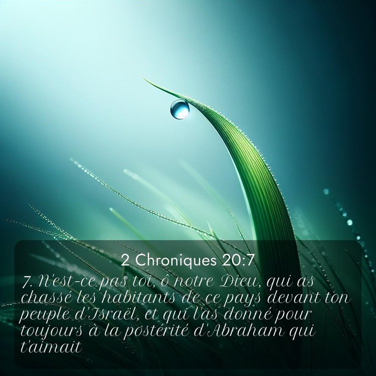 Segond 2 Chroniques 20:7