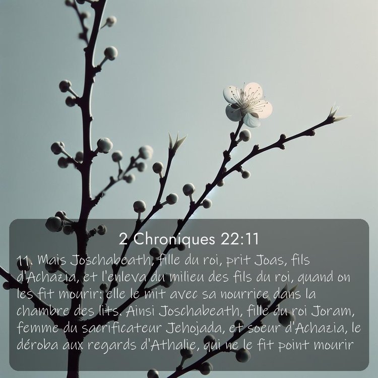 image nature avec verset biblique de la Bible