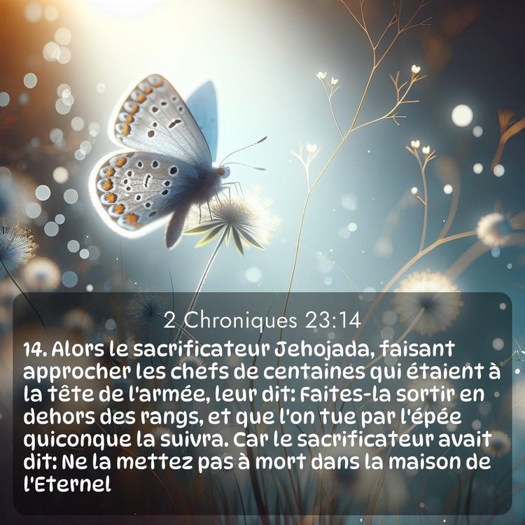 Segond 2 Chroniques 23:14