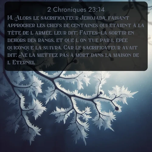 Segond 2 Chroniques  ; image nature: image avec le verset biblique :Alors le sacrificateur Jehojada, faisant approcher les chefs de centaines qui étaient à la tête de l&#039;armée, leur dit: Faites-la sortir en dehors des rangs, et que l&#039;on tue par l&#039;épée quiconque la suivra. Car le sacrificateur avait dit: Ne la mettez pas à mort dans la maison de l&#039;Eternel. ;  ; 23:14