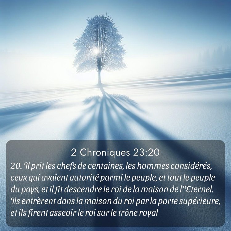 Segond 2 Chroniques 23:20