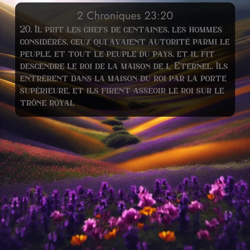 Segond 2 Chroniques  ; image nature: image avec le verset biblique :Il prit les chefs de centaines, les hommes considérés, ceux qui avaient autorité parmi le peuple, et tout le peuple du pays, et il fit descendre le roi de la maison de l&#039;Eternel. Ils entrèrent dans la maison du roi par la porte supérieure, et ils firent asseoir le roi sur le trône royal. ;  ; 23:20