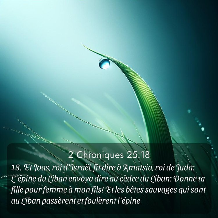 Segond 2 Chroniques 25:18