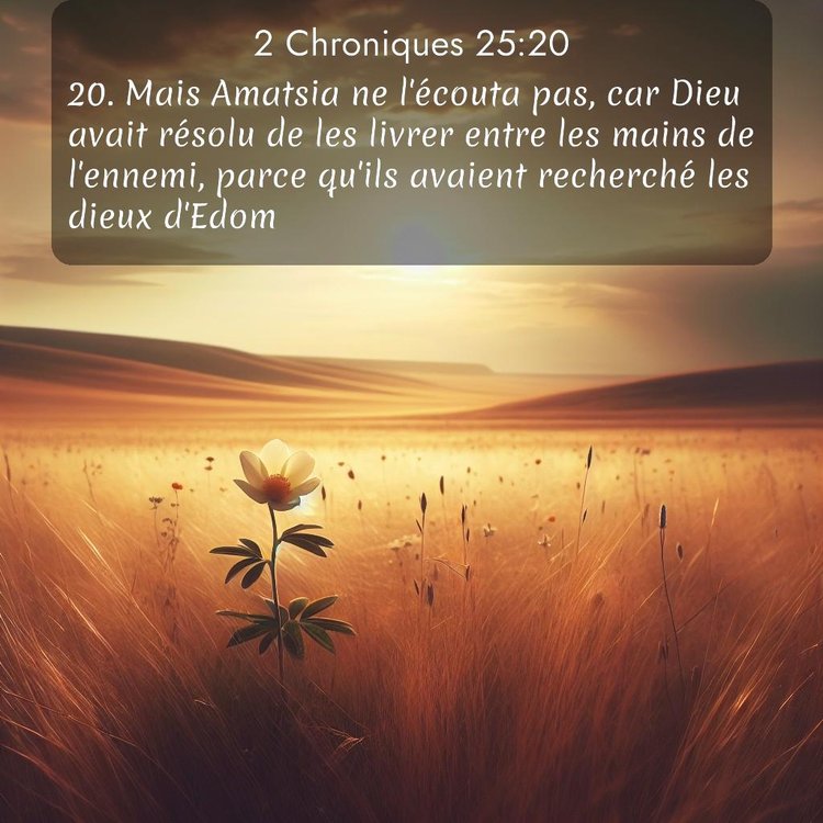 Segond 2 Chroniques 25:20