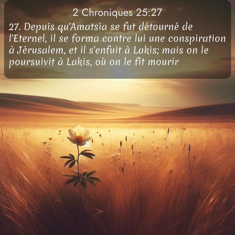 Segond 2 Chroniques 25:27