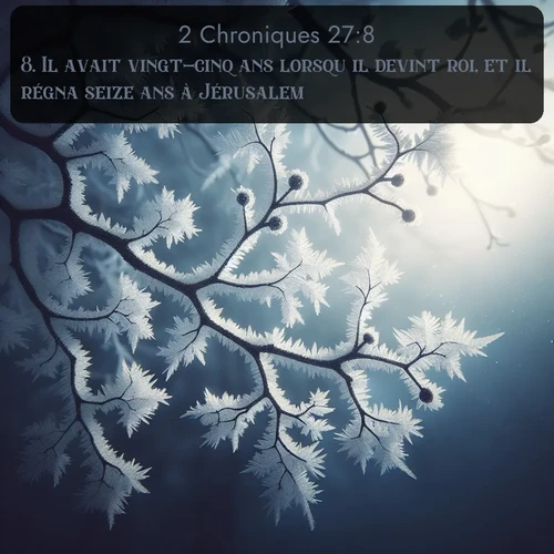 Segond 2 Chroniques  ; image nature: image avec le verset biblique :Il avait vingt-cinq ans lorsqu&#039;il devint roi, et il régna seize ans à Jérusalem. ;  ; 27:8