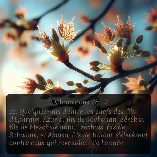 Segond 2 Chroniques  ; image nature: image avec le verset biblique :Quelques-uns d&#039;entre les chefs des fils d&#039;Ephraïm, Azaria, fils de Jochanan, Bérékia, fils de Meschillémoth, Ezéchias, fils de Schallum, et Amasa, fils de Hadlaï, s&#039;élevèrent contre ceux qui revenaient de l&#039;armée, ;  ; 28:12