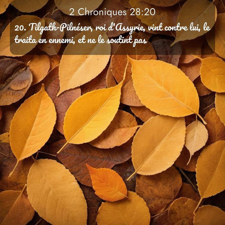 Segond 2 Chroniques 28:20