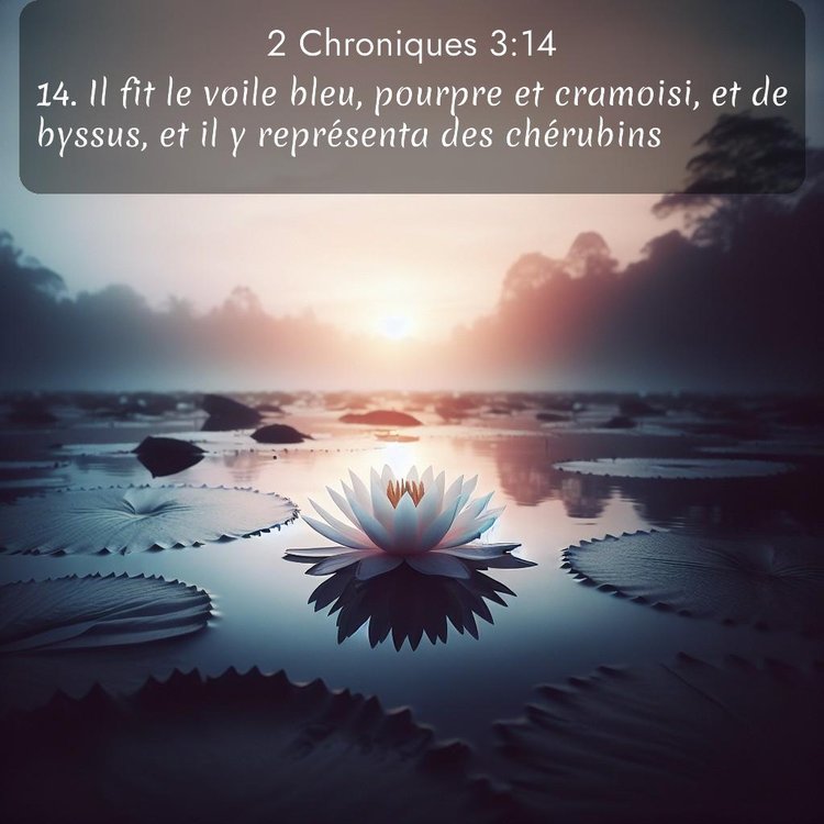 Segond 2 Chroniques 3:14