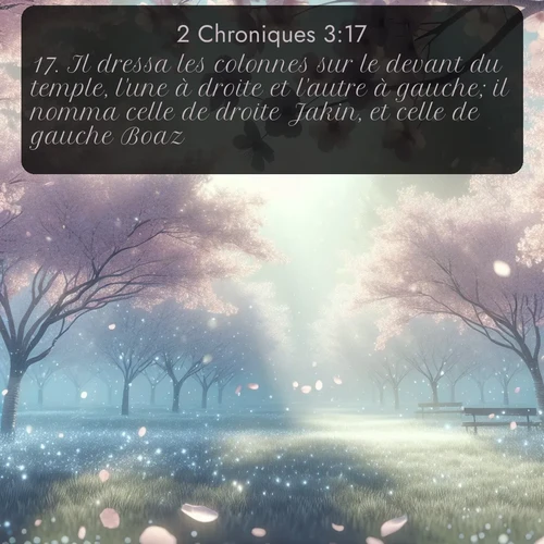 Segond 2 Chroniques  ; image nature: image avec le verset biblique :Il dressa les colonnes sur le devant du temple, l&#039;une à droite et l&#039;autre à gauche; il nomma celle de droite Jakin, et celle de gauche Boaz. ;  ; 3:17