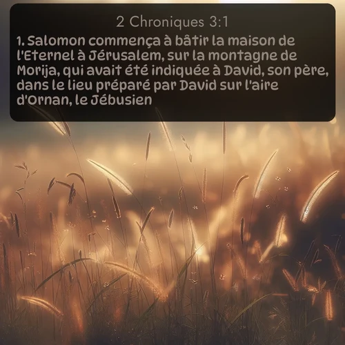 Segond 2 Chroniques  ; image nature: image avec le verset biblique :Salomon commença à bâtir la maison de l&#039;Eternel à Jérusalem, sur la montagne de Morija, qui avait été indiquée à David, son père, dans le lieu préparé par David sur l&#039;aire d&#039;Ornan, le Jébusien. ;  ; 3:1