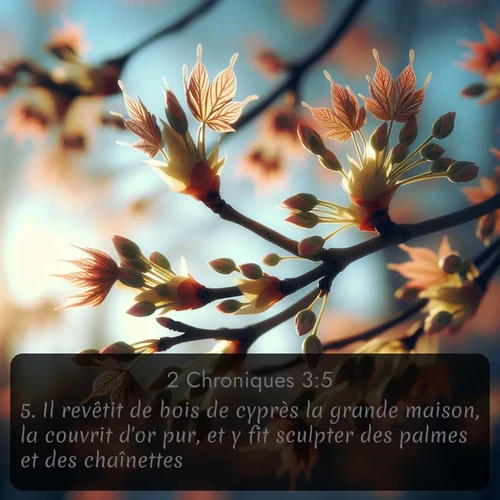 Segond 2 Chroniques  ; image nature: image avec le verset biblique :Il revêtit de bois de cyprès la grande maison, la couvrit d&#039;or pur, et y fit sculpter des palmes et des chaînettes. ;  ; 3:5