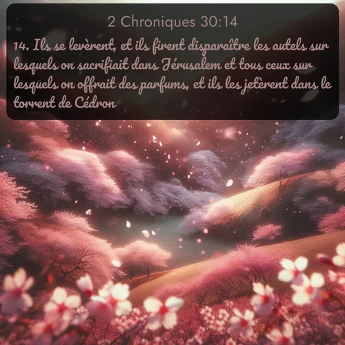 Segond 2 Chroniques  ; image nature: image avec le verset biblique :Ils se levèrent, et ils firent disparaître les autels sur lesquels on sacrifiait dans Jérusalem et tous ceux sur lesquels on offrait des parfums, et ils les jetèrent dans le torrent de Cédron. ;  ; 30:14