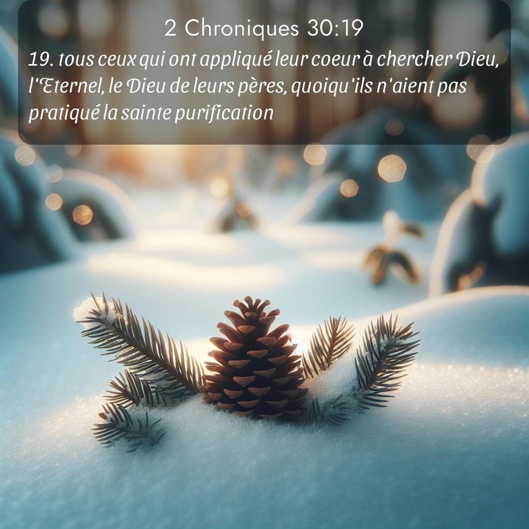 Segond 2 Chroniques 30:19