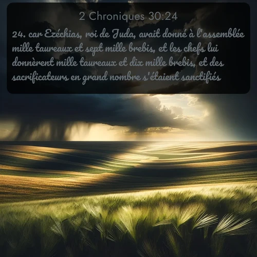 Segond 2 Chroniques  ; image nature: image avec le verset biblique :car Ezéchias, roi de Juda, avait donné à l&#039;assemblée mille taureaux et sept mille brebis, et les chefs lui donnèrent mille taureaux et dix mille brebis, et des sacrificateurs en grand nombre s&#039;étaient sanctifiés. ;  ; 30:24