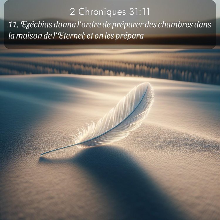 Segond 2 Chroniques 31:11