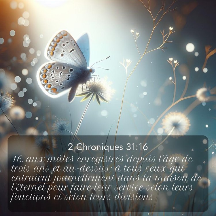 Segond 2 Chroniques 31:16