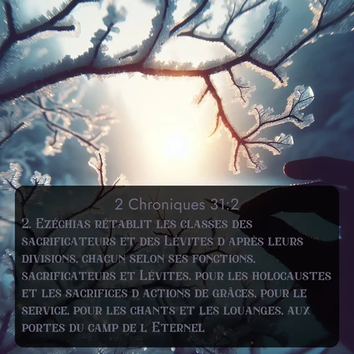 Segond 14 31:2