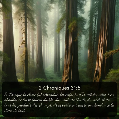 Segond 2 Chroniques  ; image nature: image avec le verset biblique :Lorsque la chose fut répandue, les enfants d&#039;Israël donnèrent en abondance les prémices du blé, du moût, de l&#039;huile, du miel, et de tous les produits des champs; ils apportèrent aussi en abondance la dîme de tout. ;  ; 31:5