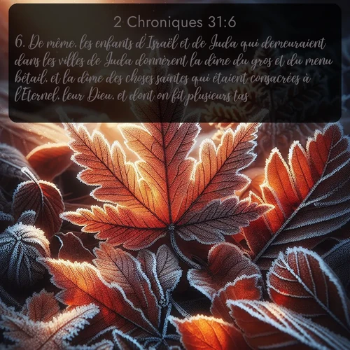 Segond 2 Chroniques  ; image nature: image avec le verset biblique :De même, les enfants d&#039;Israël et de Juda qui demeuraient dans les villes de Juda donnèrent la dîme du gros et du menu bétail, et la dîme des choses saintes qui étaient consacrées à l&#039;Eternel, leur Dieu, et dont on fit plusieurs tas. ;  ; 31:6