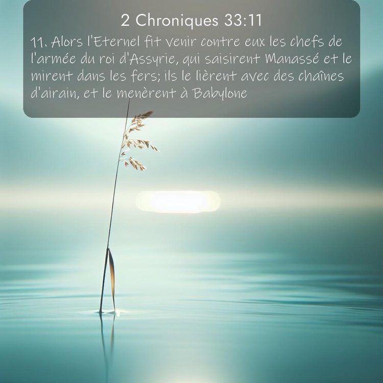 Segond 2 Chroniques 33:11