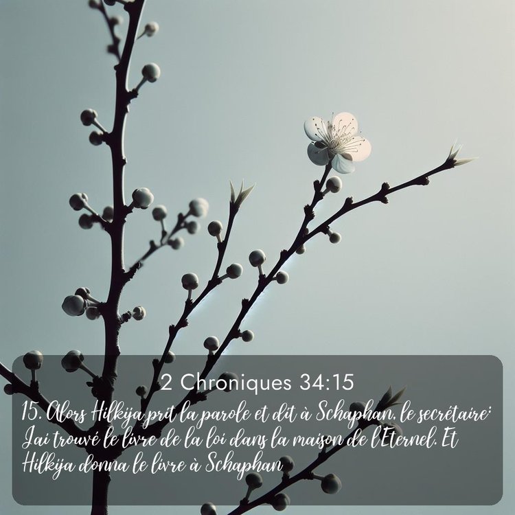 image nature avec verset biblique de la Bible