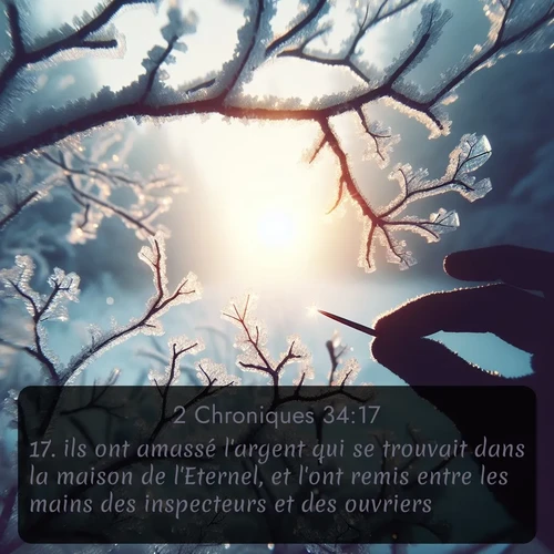 Segond 2 Chroniques  ; image nature: image avec le verset biblique :ils ont amassé l&#039;argent qui se trouvait dans la maison de l&#039;Eternel, et l&#039;ont remis entre les mains des inspecteurs et des ouvriers. ;  ; 34:17