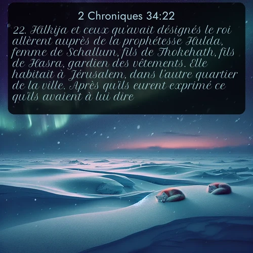 Segond 2 Chroniques  ; image nature: image avec le verset biblique :Hilkija et ceux qu&#039;avait désignés le roi allèrent auprès de la prophétesse Hulda, femme de Schallum, fils de Thokehath, fils de Hasra, gardien des vêtements. Elle habitait à Jérusalem, dans l&#039;autre quartier de la ville. Après qu&#039;ils eurent exprimé ce qu&#039;ils avaient à lui dire, ;  ; 34:22