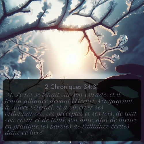 Segond 2 Chroniques  ; image nature: image avec le verset biblique :Le roi se tenait sur son estrade, et il traita alliance devant l&#039;Eternel, s&#039;engageant à suivre l&#039;Eternel, et à observer ses ordonnances, ses préceptes et ses lois, de tout son coeur et de toute son âme, afin de mettre en pratique les paroles de l&#039;alliance écrites dans ce livre. ;  ; 34:31