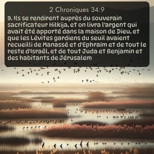 Segond 2 Chroniques  ; image nature: image avec le verset biblique :Ils se rendirent auprès du souverain sacrificateur Hilkija, et on livra l&#039;argent qui avait été apporté dans la maison de Dieu, et que les Lévites gardiens du seuil avaient recueilli de Manassé et d&#039;Ephraïm et de tout le reste d&#039;Israël, et de tout Juda et Benjamin et des habitants de Jérusalem. ;  ; 34:9